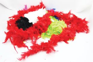 Picture of FEATHERY BOA