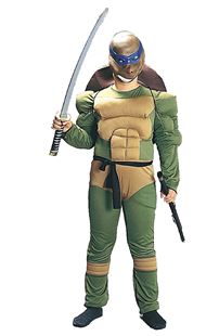 Picture of TURTLE FIGHTER