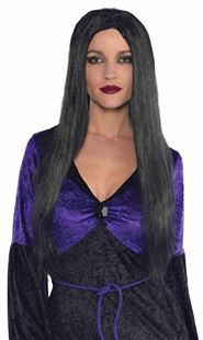 Picture of Wig Witch Black One Size